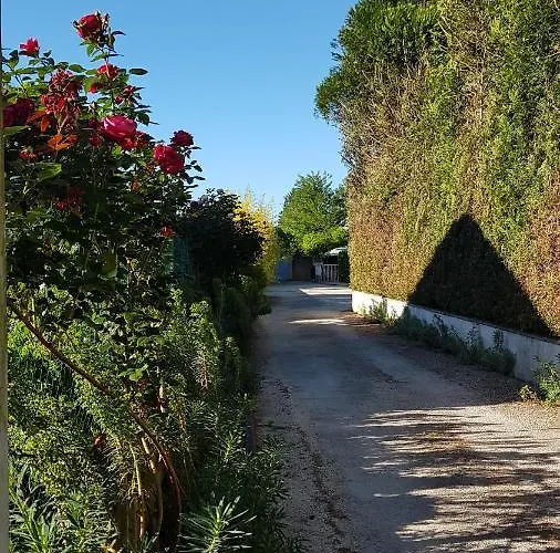 Hébergement de vacances Gîte Mercues Mercuès